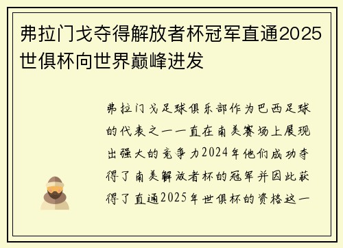 弗拉门戈夺得解放者杯冠军直通2025世俱杯向世界巅峰进发